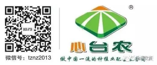 果實接近成熟，警惕柑橘表面各種油胞病